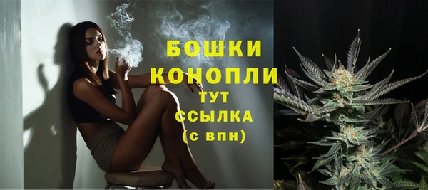 PSILOCYBIN Аркадак