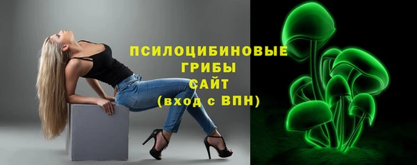 стафф Арсеньев
