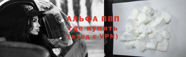 стафф Арсеньев