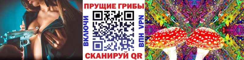 Псилоцибиновые грибы MAGIC MUSHROOMS  Каменск-Шахтинский 